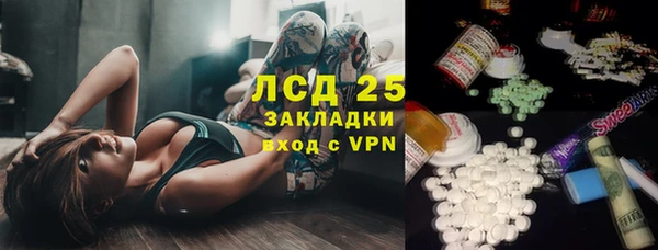 сатива Лабытнанги