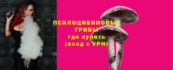 дурь Аркадак