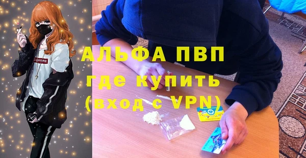 сатива Лабытнанги