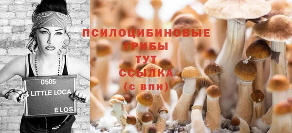 дурь Аркадак