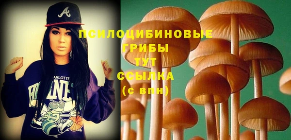 дурь Алексин