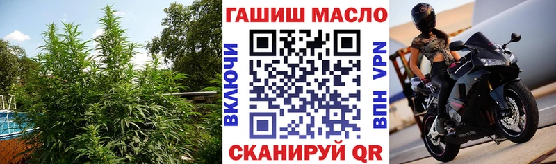 закладки  Рубцовск  гидра tor  ТГК концентрат 