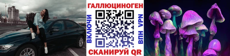 купить наркоту  KRAKEN маркетплейс  Псилоцибиновые грибы Psilocybine cubensis  Рубцовск 